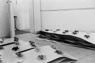 1968 - camera fiorita Ettore Innocente - La tartaruga
