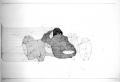 1965 Racing, progetto